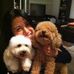 Profile Picture of Bernice Liu (@bernice.liu.54) on Facebook