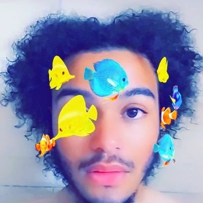 Profile Picture of Edwin Hayes (@EdwinHayes19) on Twitter