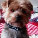 Profile Picture of Joanne Bannister (@joanne.bannister.370) on Facebook