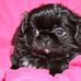 Profile Picture of Lucille Bernard (@lucille.bernard.790) on Facebook