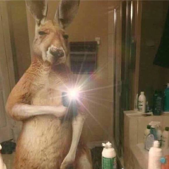 Profile Picture of Kevin Bai (@kevinbai) on Poshmark