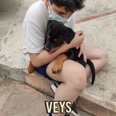 Profile Picture of Arda Veysoğlu (@ArdaVeysoglu) on Twitter