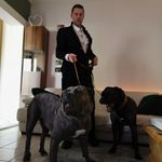 Profile Picture of Cane corso kevin (@canecorsokevin) on Instagram