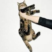 Profile Picture of Alexander Lukas (@alexander-lukas-1) on Quora
