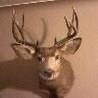 Profile Picture of Clint Bowers (@clint-bowers-5) on Quora