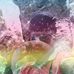 Profile Picture of Timon Martin (@timon.martin.330) on Facebook