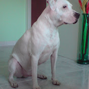 Profile Picture of Jonathan Reza (@toriviotattoo) on Youtube