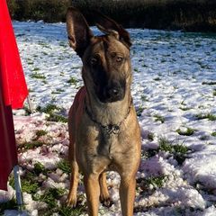 Profile Picture of Andrew Hessner (@andrewhessner) on Tiktok