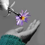 Profile Picture of Jeffery Dougherty (@jefferydougherty) on Instagram