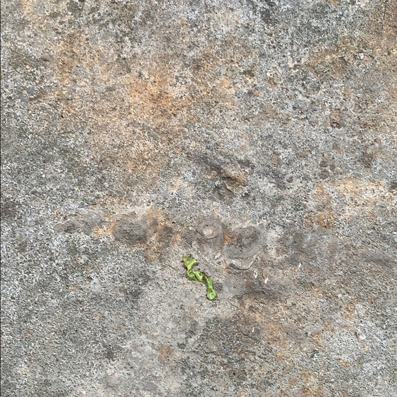 Profile Picture of Brandon Jacobs (@ziggyboo27) on Poshmark