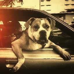 Profile Picture of Jeremy Wessels (@jeremy85634008) on Twitter