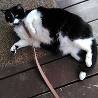 Profile Picture of Bobby Mcmaster (@bobby-mcmaster-3) on Quora