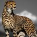 Profile Picture of Julia Minott (@julia.minott.77) on Facebook