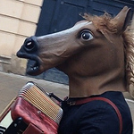 Profile Picture of mpfoley (@mpfoley) on Flickr