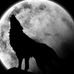 Profile Picture of Thomas Nicastro (@thomas.nicastro.56) on Facebook