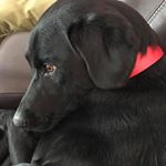 Profile Picture of Trisha Erwin (@trisha.erwin) on Instagram