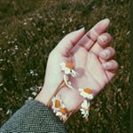 Profile Picture of ياسمين 🌼🌼🌼💜💜 (@yasmeen_mohammad_shalalfh) on Instagram