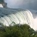 Profile Picture of Lisa Haggerty-endres (@bigmama26) on Pinterest