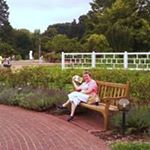 Profile Picture of Judy Holmes (@mickey.holmes) on Instagram