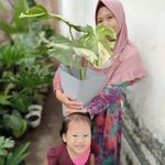 Profile Picture of Erin Garden (@erin.garden.jember) on Instagram