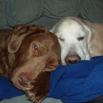 Profile Picture of Jackie Olivio (@Mousptato2016) on Twitter