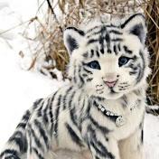 Profile Picture of Dallas Cobb (@Dallascobb96) on Youtube