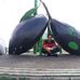 Profile Picture of Jonathan Dones (@jonathan.dones.142) on Facebook