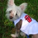 Profile Picture of Kim Arnold (@kima01) on Pinterest