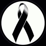 Profile Picture of kejsilda sallaku (@kejsilda6) on Instagram