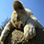 Profile Picture of Jonathan_granfar (@jonathan_granfar) on Flickr