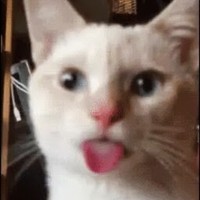 Profile Picture of Brandon Lehman (@brandon-lehman-2) on Quora