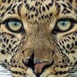 Profile Picture of Ben Gauthier (@beng48) on Instagram