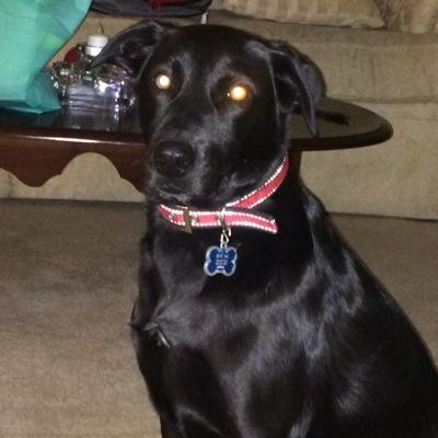 Profile Picture of Dan Welsh (@dpwelsh) on Twitter