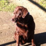 Profile Picture of Thomas Gieselmann (@thomasgieselmann) on Instagram