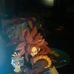 Profile Picture of Benjamin Staley (@benjamin.staley.566) on Facebook