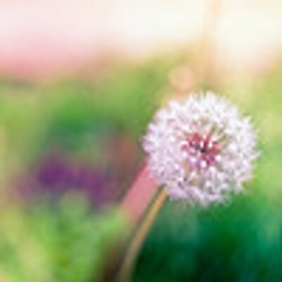 Profile Picture of MariaFreeman (@MariaFreeman3) on Twitter