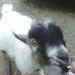Profile Picture of Joe Ellisor (@joeellisor) on Pinterest