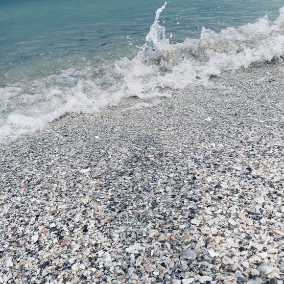 Profile Picture of Ella Pfirman (@ella_pfirman) on Poshmark