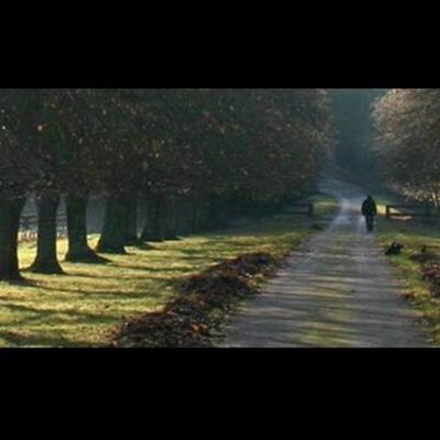 Profile Picture of Brad Weir (@@nomasir) on Twitter