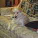 Profile Picture of Pamela Haskell (@pjhaskell) on Pinterest