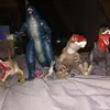 Profile Picture of Cory Beauchamp281 (@alpha_spino) on Tiktok
