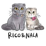 Profile Picture of Scottish Folds (@rico.and.nala) on Instagram
