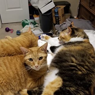 Profile Picture of Lori Shimko (@Lori-Shimko) on Facebook