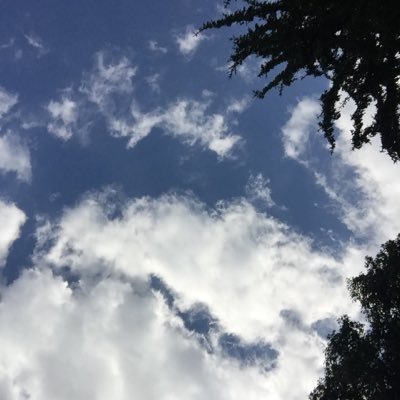 Profile Picture of Ann Hoyt (@team130maryland) on Twitter