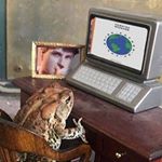 Profile Picture of mindy kaling wannabe (@old.richard) on Instagram