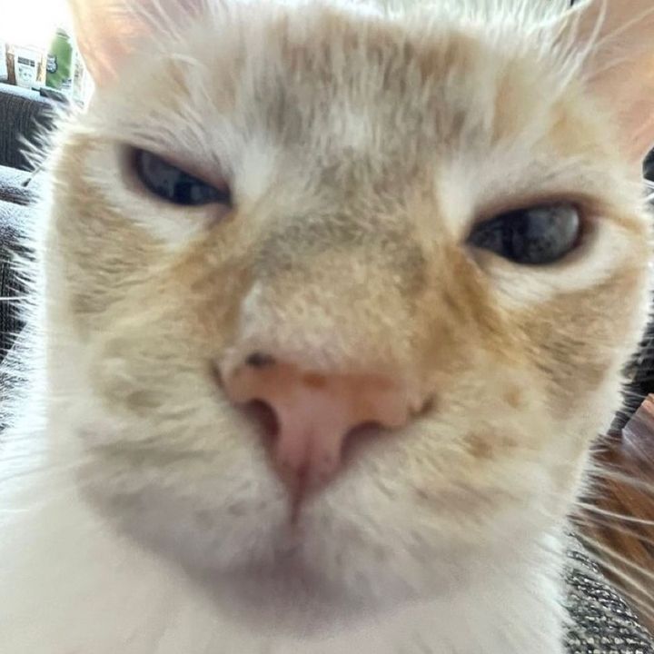 Profile Picture of daniel chaffin (@@danchaffin) on Tiktok