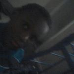 Profile Picture of LawrenceBynum (@adld1234) on Instagram