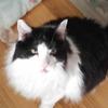 Profile Picture of June Vearling (@@junevearling) on Tiktok
