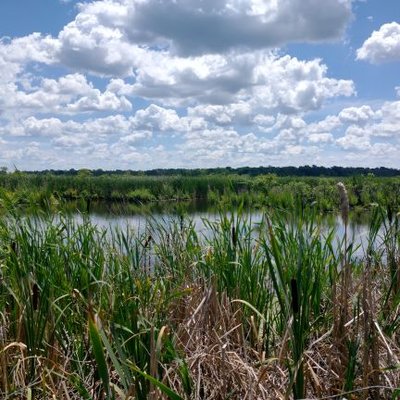 Profile Picture of Craig Coon (@CraigCoon7) on Twitter