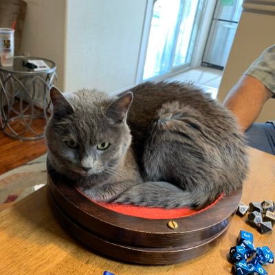 Profile Picture of Pour Richard (@StevenGrandy2) on Twitter